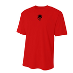 Dri Fit shirt